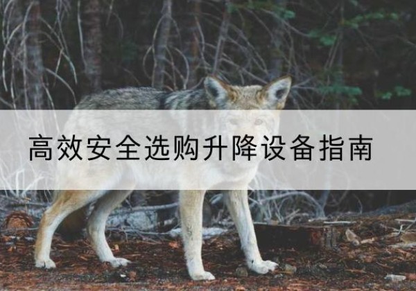西固升降货梯厂家推荐-*安全选购升降设备指南