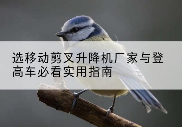 西固电动升降机厂家-选移动剪叉升降机厂家与登高车必看实用指南